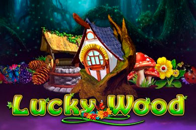 Lucky Wood Слотт Казино слот